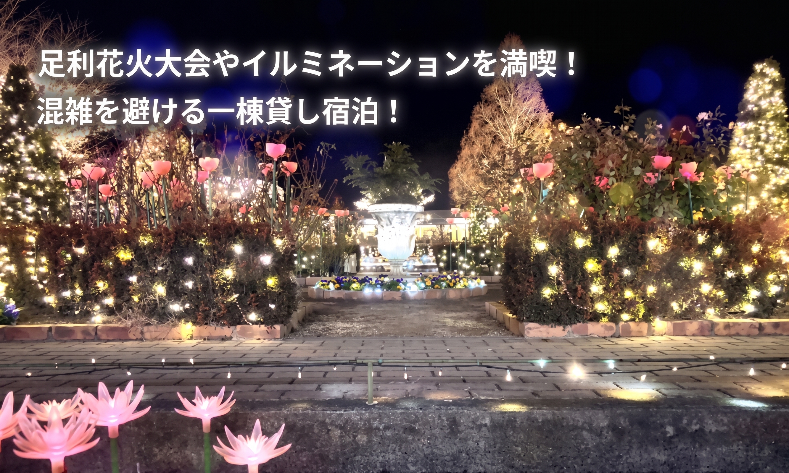 冬の夜を彩る足利のイルミネーションを楽しむ宿泊体験！