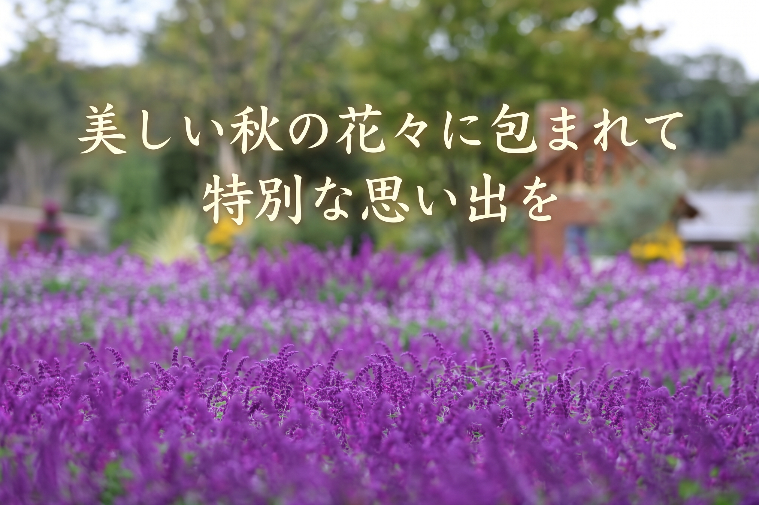 美しい秋色に包まれて、特別な思い出を