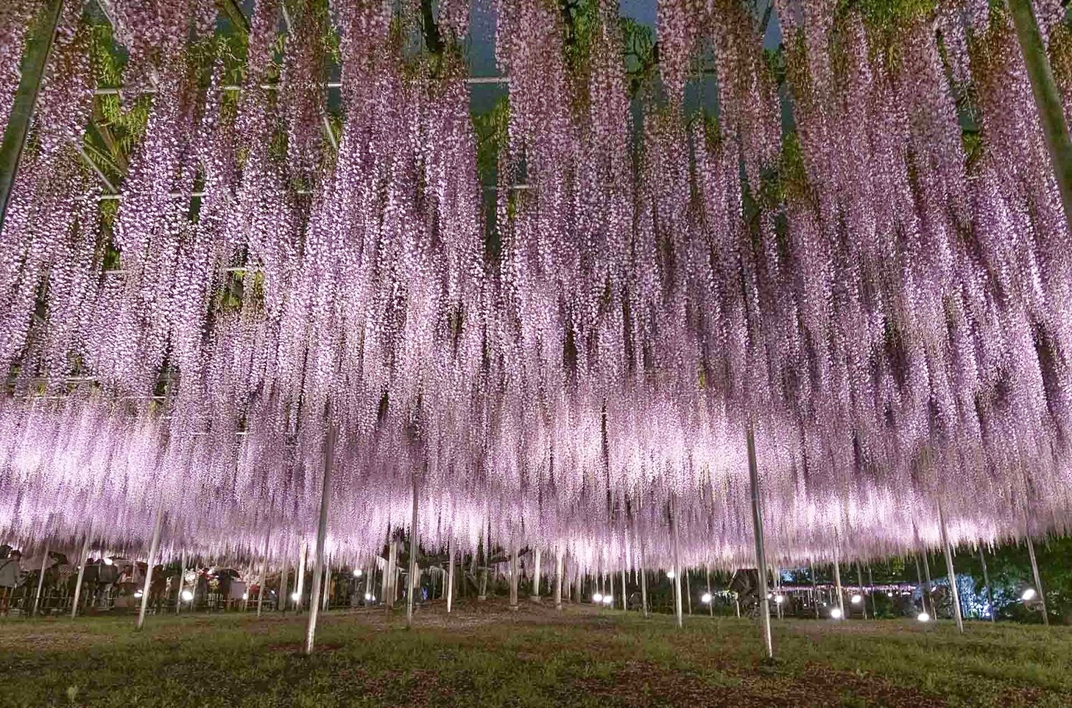 好アクセスで観光に便利